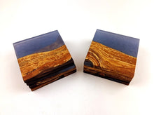Mary's Custom Applewood Epoxy Resin Coasters (set of 8)
