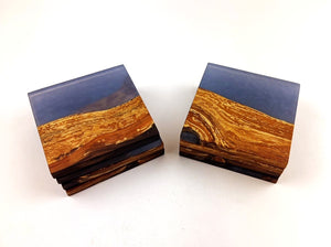 Mary's Custom Applewood Epoxy Resin Coasters (set of 8)