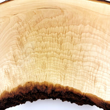 Figured Maple Display Table