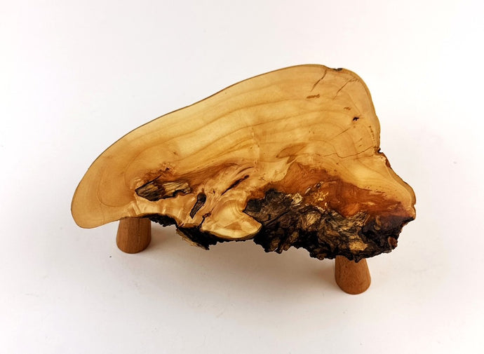 Applewood Display Table