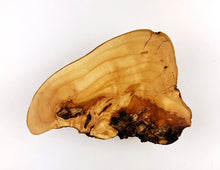 Applewood Display Table